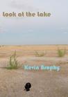 Look at the Lake By Kevin Brophy Cover Image