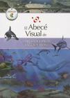 El Abece Visual de Mares, Oceanos, Lagos y Rios = The Illustrated Basics of Seas, Oceans, Lakes, and Rivers By Juan Andres Turri (Editor), Nestor Taylor (Illustrator) Cover Image