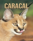 Caracal: Amazing Facts & Pictures By Jessica Joe Cover Image
