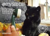 My Sad Cat Postcard Collection By Tom Cox (By (photographer)) Cover Image