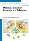 Molecular Excitation Dynamics and Relaxation: Quantum Theory and Spectroscopy By Leonas Valkunas, Darius Abramavicius, Mancal Cover Image