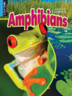 Amphibians (Animal Kingdom) By Jack Zayarny Cover Image