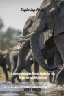 Exploring Kenya: A Comprehensive Travel Guide for the Adventurous Adventurer By Vivian Johnson Cover Image