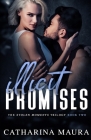 Illicit Promises (Stolen Moments #1) By Catharina Maura Cover Image