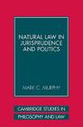 Natural Law in Jurisprudence and Politics (Cambridge Studies in Philosophy and Law) Cover Image