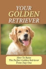 Your Golden Retriever: How To Raise The Perfect Golden Retriever From Day One: How To Successfully Socialise Your Golden Retriever By Dana Yamaguchi Cover Image