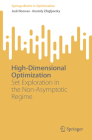 High-Dimensional Optimization: Set Exploration in the Non-Asymptotic Regime (Springerbriefs in Optimization) Cover Image