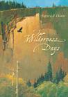 Wilderness Days (Fesler-Lampert Minnesota Heritage) Cover Image