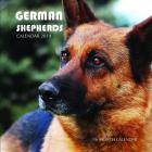 German Shepherds Calendar 2019: 16 Month Calendar By Mason Landon Cover Image
