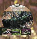 The Ecosystem of a Fallen Tree (Library of Small Ecosystems) By Elaine Pascoe Cover Image
