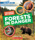 Forests in Danger (A True Book: The Earth at Risk) (A True Book (Relaunch)) By Jasmine Ting Cover Image