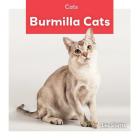 Burmilla Cats By Leo Statts Cover Image