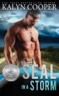 SEAL in a Storm By Kalyn Cooper Cover Image