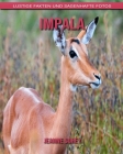 Impala: Lustige Fakten und sagenhafte Fotos By Jeanne Sorey Cover Image