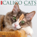 Just Calico Cats 2025 12 X 12 Wall Calendar Cover Image