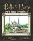 Let's Visit Istanbul! (Adventures of Bella & Harry #9) By Lisa Manzione, Kristine Lucco (Illustrator) Cover Image