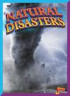 Natural Disasters (Rank It!) By Jim Westcott Cover Image