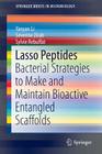 Lasso Peptides: Bacterial Strategies to Make and Maintain Bioactive Entangled Scaffolds (Springerbriefs in Microbiology) Cover Image