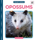 Opossums By Elizabeth Andrews Cover Image