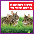 Rabbit Kits in the Wild By Katie Chanez Cover Image