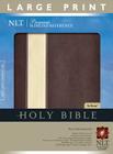Premium Slimline Large Print Bible-NLT Cover Image