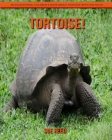 Tortoise! An Educational Children's Book about Tortoise with Fun Facts By Sue Reed Cover Image