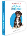 My First Book of Alfabeto Italiano: Italian Alphabet By Wonder House Books Cover Image