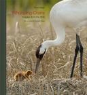 Whooping Crane: Images from the Wild By Klaus Nigge, Krista Schlyer (Introduction by) Cover Image