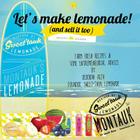 Let's Make Lemonade (and sell it too) By Sander De Fouw (Illustrator), Deborah Aiza Cover Image