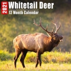Whitetail Deer Calendar 2021: Cute Whitetail Deers Photos Monthly Mini Calendar With Inspirational Quotes each Month By Whitetailz Fancy Calendars Cover Image