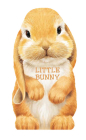 Little Bunny (Mini Look at Me Books) By Laura Rigo (Illustrator) Cover Image