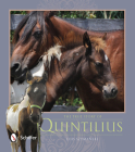 The True Story of Quintilius By Lois Szymanski Cover Image