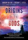 Origins of the Gods: Qesem Cave, Skinwalkers, and Contact with Transdimensional Intelligences Cover Image