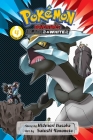 Pokémon Adventures: Black 2 & White 2, Vol. 4 Cover Image