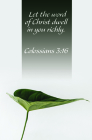Let The Word  Bulletin (Pkg 100) General Worship By Broadman Church Supplies Staff (Contributions by) Cover Image