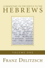 Commentary on the Epistle to the Hebrews, Volume 1 Cover Image