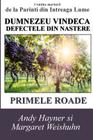 Dumnezeu Vindeca Defectele Din Nastere: Primele Roade By Andy Hayner, Margaret Weishuhn Cover Image