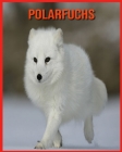 Polarfuchs: Unglaubliche Bilder und Wissenswertes über Polarfuchs By Betty Marc Cover Image