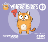 Where Is Bes?: Book 9 By William Ricketts, Dean Maynard (Illustrator) Cover Image