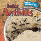 Inside Anthills (Inside Animal Homes) By Henry Abbot Cover Image
