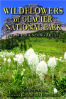 Wildflowers of Glacier National Park: And Surrounding Areas Cover Image