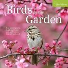 Audubon Birds in the Garden Wall Calendar 2025: Use Native Plants to Attract Birds and Pollinators to Your Backyard Cover Image