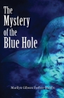 The Mystery of the Blue Hole By Marilyn Gibson Forbes-Stubbs Cover Image