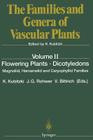 Flowering Plants - Dicotyledons: Magnoliid, Hamamelid and Caryophyllid Families (Families and Genera of Vascular Plants #2) By Klaus Kubitzki (Editor), Jens G. Rohwer (Editor), Volker Bittrich (Editor) Cover Image