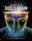 Awaken Your Godly Brain: The Undeniable Link Between Brain Chemistry and Function, Sustainable Happiness and Spirituality Cover Image