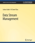 Data Stream Management (Synthesis Lectures on Data Management) By Lukasz Golab, M. Tamer Ozsu Cover Image