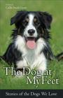 The Dog at My Feet: Stories of the Dogs We Love By Ed Callie Smith Grant Cover Image