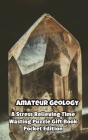 Amateur Geology a Stress Relieving Time Wasting Puzzle Gift Book Cover Image
