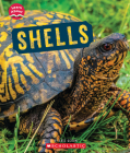 Shells (Learn About: Animal Coverings) By Eric Geron Cover Image