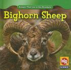 Bighorn Sheep (Animals That Live in the Mountains (Second Edition)) By JoAnn Early Macken Cover Image